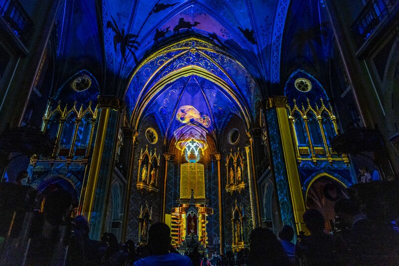 catedral8