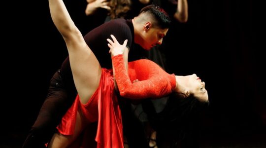 dance vida cedivida