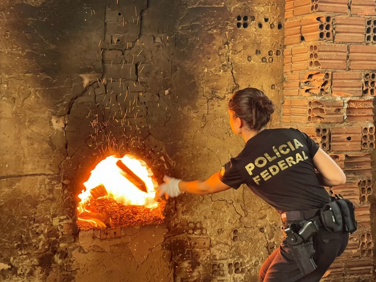 drogas incineradas