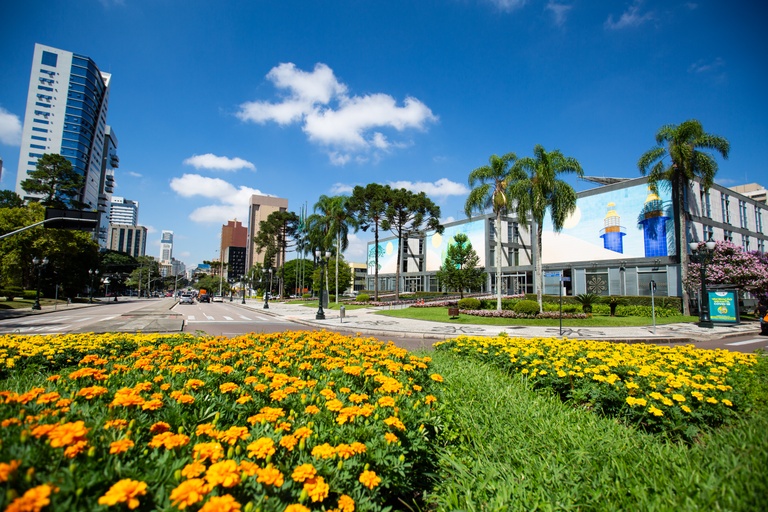 image_large (5)
