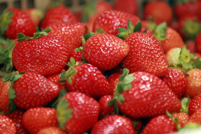morango