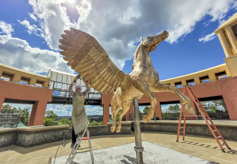 pegasus no tangua