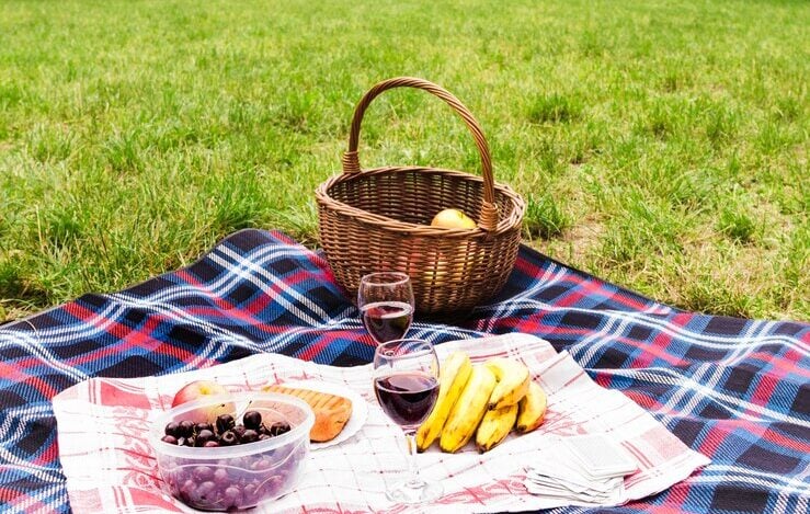 pequeno-almoco-saudavel-e-tacas-de-vinho-no-cobertor-sobre-a-grama-verde_23-2147901682