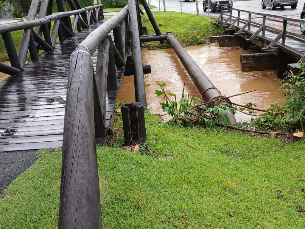 ponte parque tingui