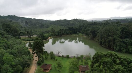 PARQUE ANIBAL CURY
