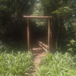 Foto4