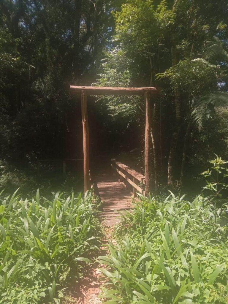 Foto4
