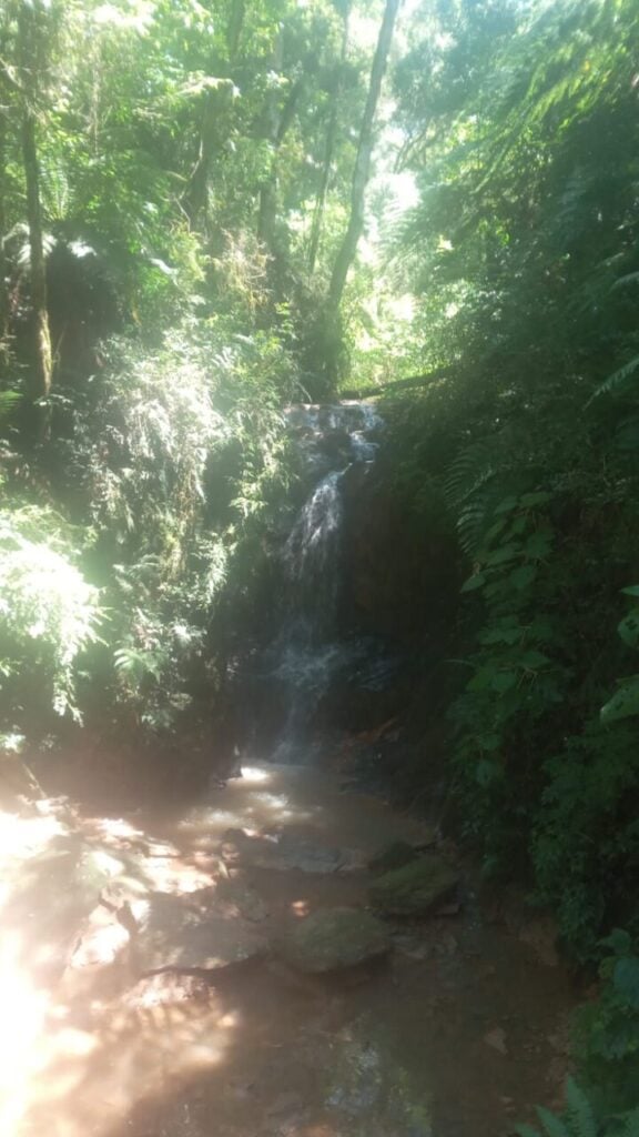 Foto5