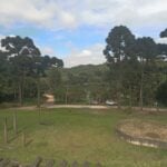 Foto9