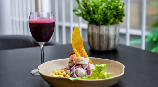 QCeviche_