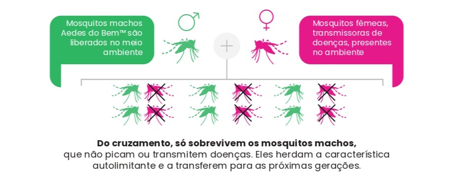 Resultado-Congonhas
