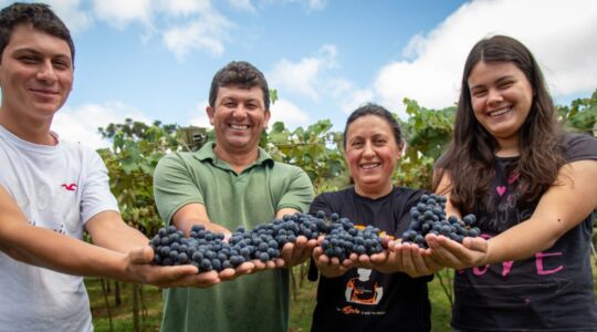 Witmarsum: parceria entre cooperativas