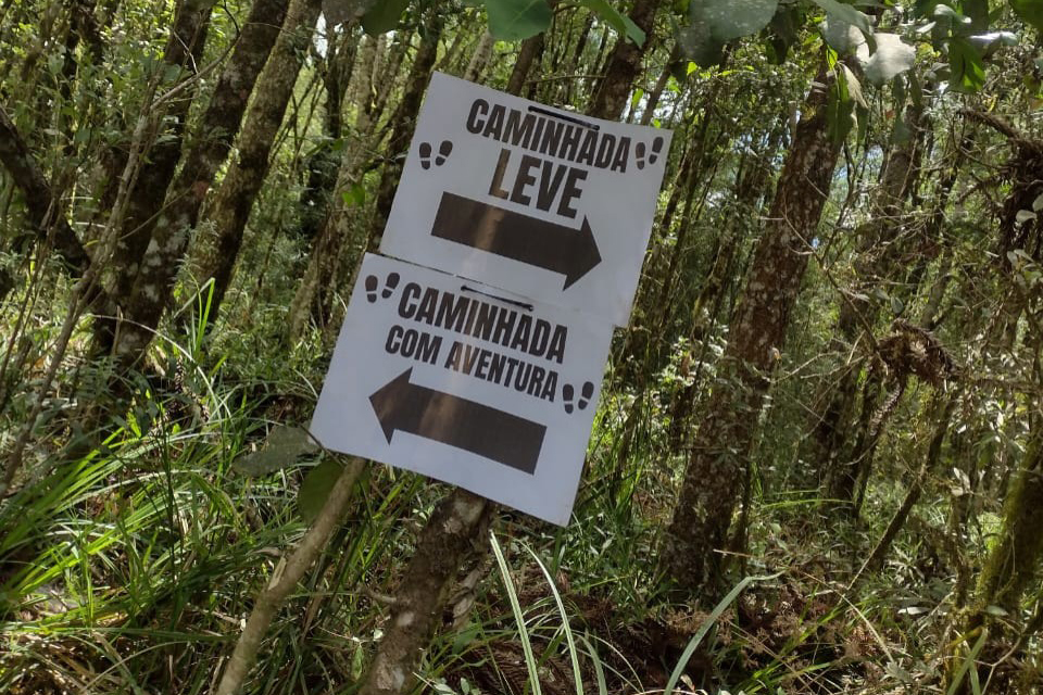 caminhada