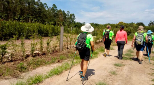 caminhadas da natureza