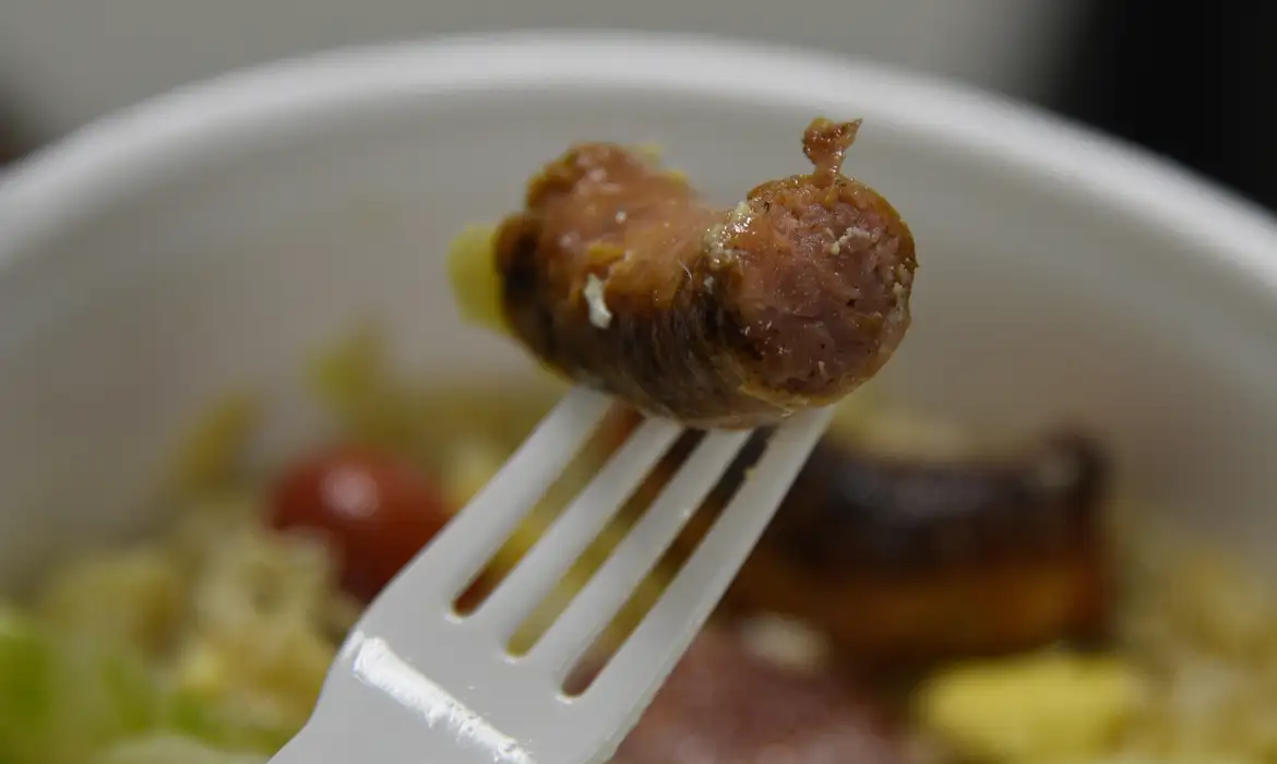 carne processada