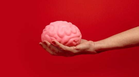 cerebro