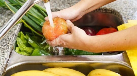 cuidados alimentacao