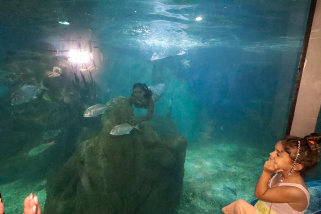 Aquario Paranagua
