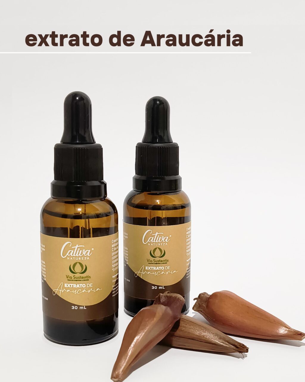 extrato de araucarial