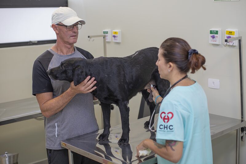 hospital veterinario