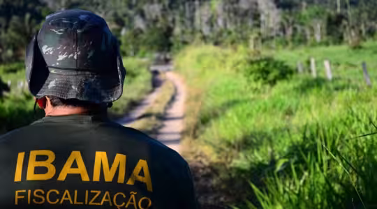 ibama