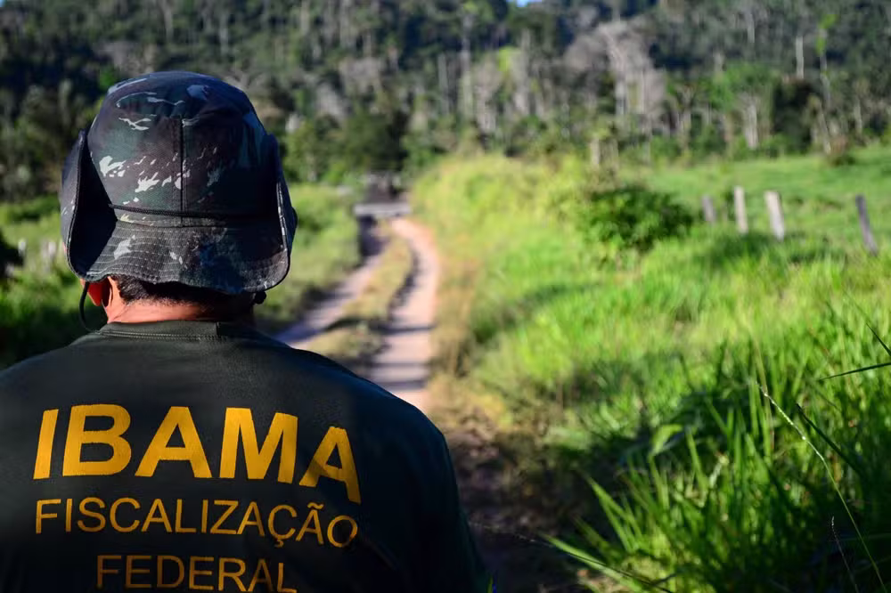 ibama
