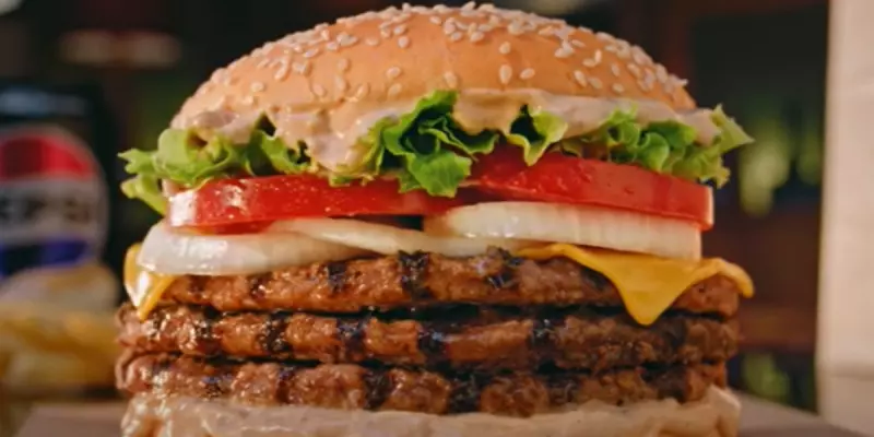 lanche-de-graca-800×400