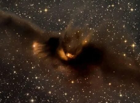 morcego cosmico
