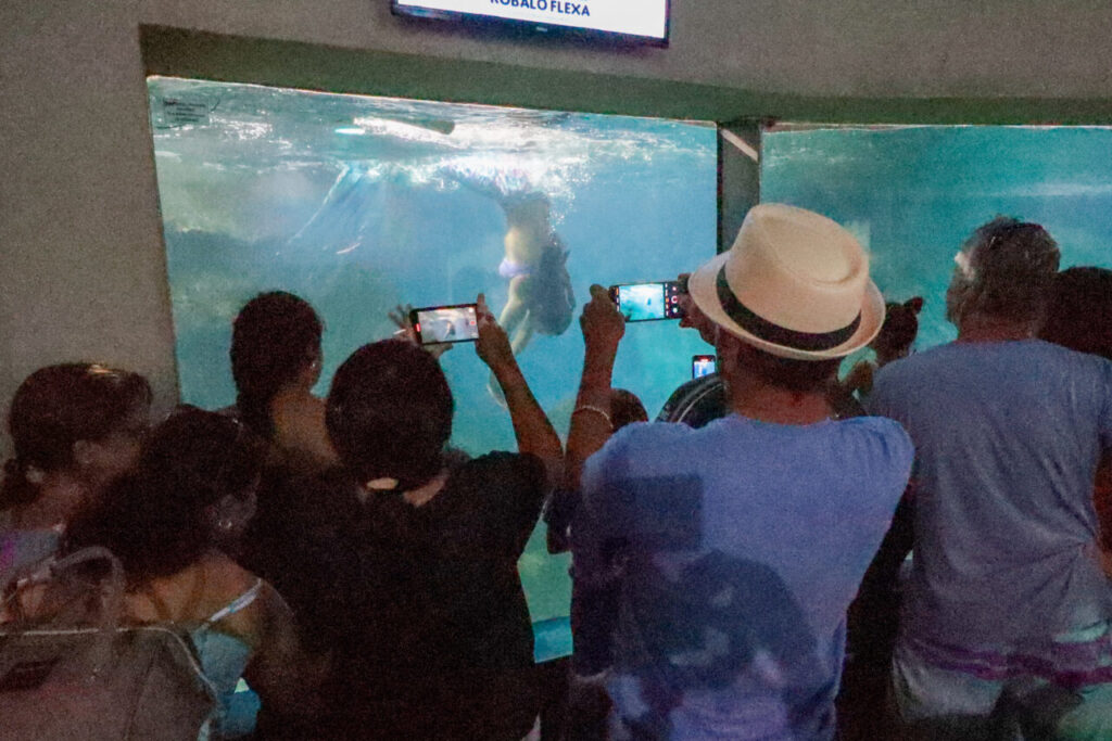 Aquario Paranagua