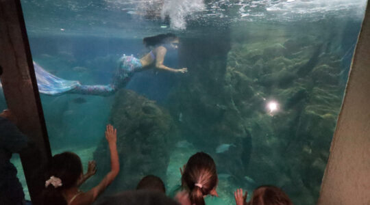 Aquario Paranagua