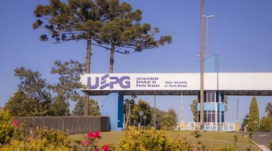 uepg novos cursos