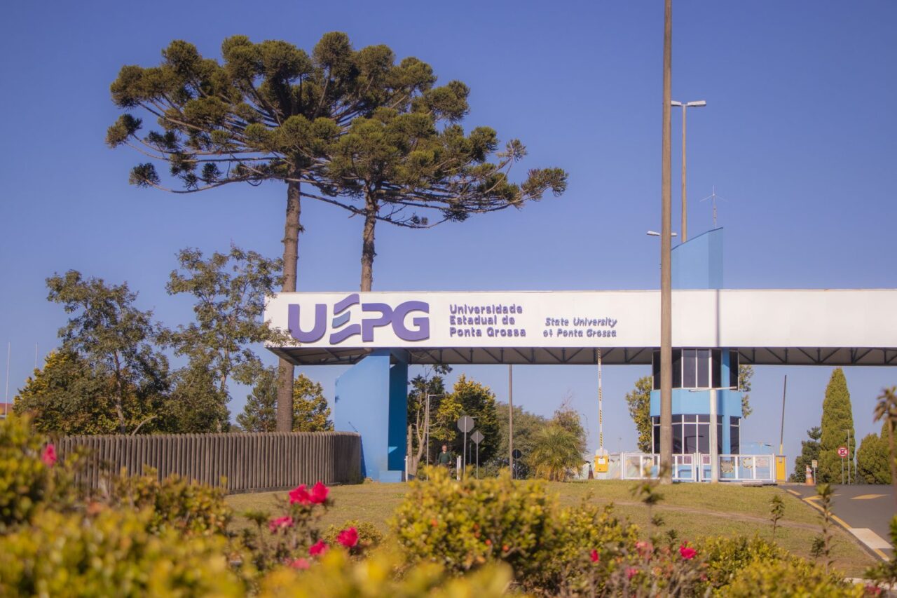 uepg novos cursos