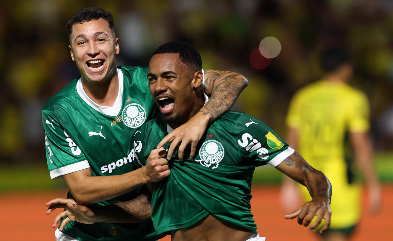 23pálmeuiras