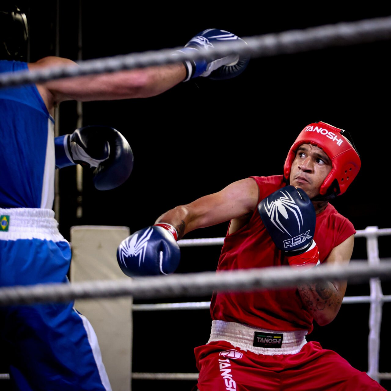 Troféu a Quatro Punhos de Boxe