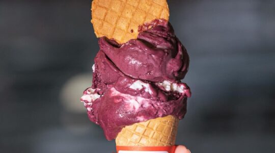 Blaus – Açaí