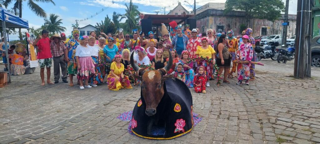 Boi de mamão7