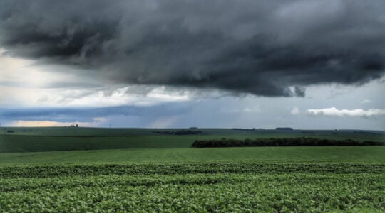 Chuva em plantação de soja no Paraná