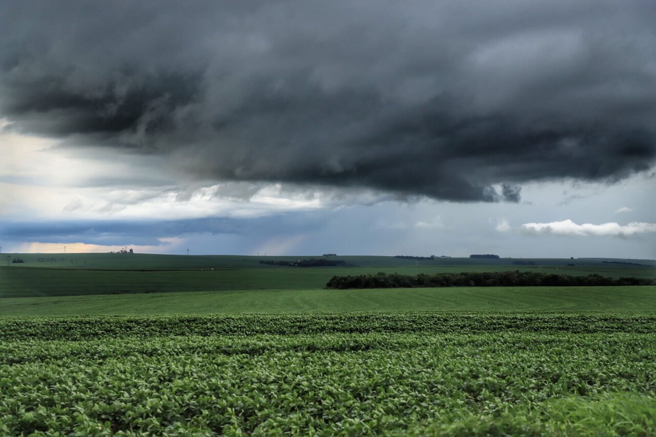 Chuva em plantação de soja no Paraná