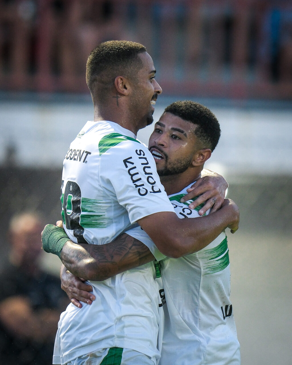 Coxa2