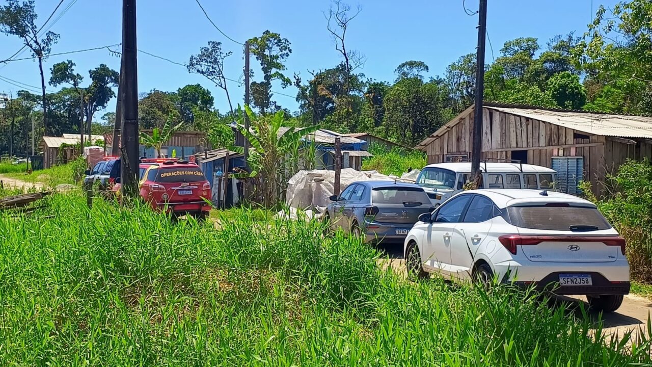 Desaparecida