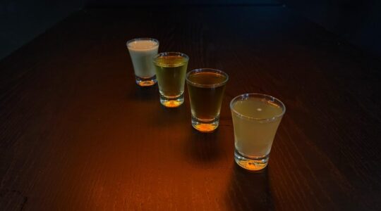 Festival-do-Shot—Creditos-Mustafa-Hamdar–1-