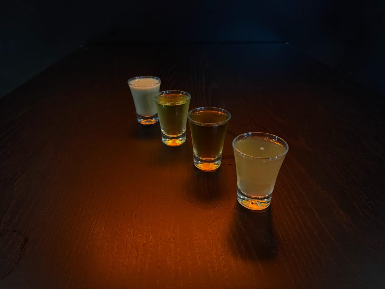 Festival-do-Shot—Creditos-Mustafa-Hamdar–1-
