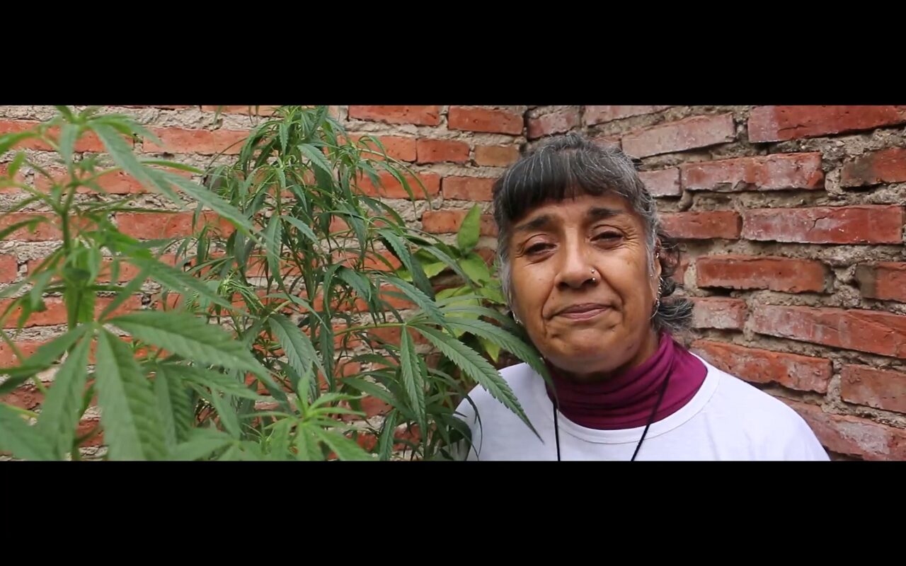 Fotograma 1