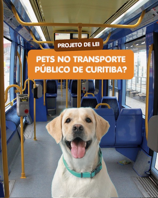 arte_post_papopet