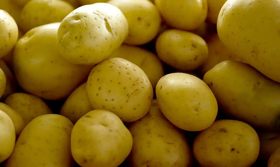 batata