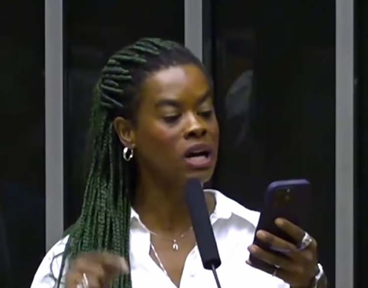 carol dartora racismo reverso stj