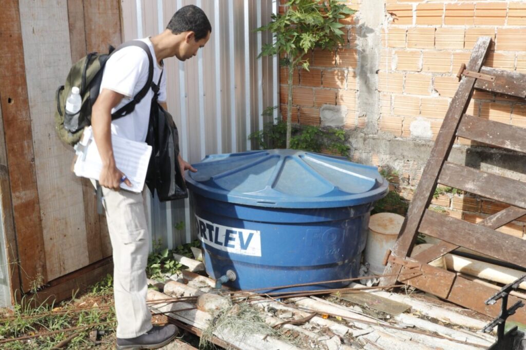 dengue cascavel