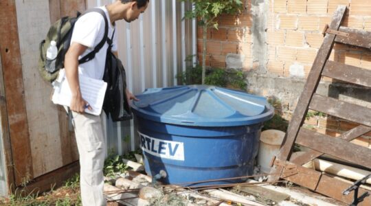 dengue cascavel