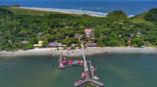 image00006_3