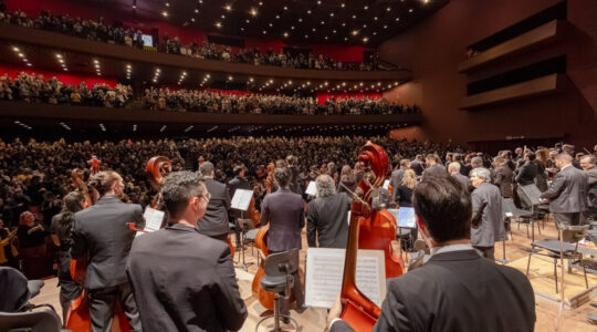 orquestra tamandaré